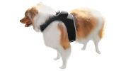 Collar Mount GPS Dog Tracker Waterproof Realtime Wireless Pet Monitor Size:M