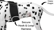 Collar Mount GPS Dog Tracker Waterproof Realtime Wireless Pet Monitor Size:M